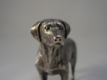 Zilveren Labrador